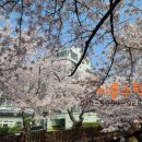 진영장등중학교 이미지