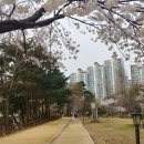 장자호수길 이미지