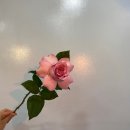 플로리스트 고급 이미지