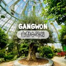 하늘정원 | 강릉 아이와 가볼만한 곳 솔향수목원 | 운영정보 관람포인트