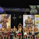 머스트핏 이미지