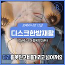 잠실베스트동물병원 수술재활센터 이미지