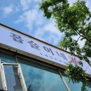 꼽슬이네 이미지