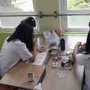 영암여자중학교 이미지