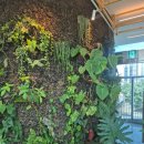 용산-이촌-496 이미지