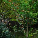 일봉목장 이미지