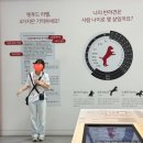 설이네 펫푸드 | 직접 가본 가성비 갑, 하림펫푸드 개슐랭 투어