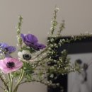 사랑농장 2 이미지