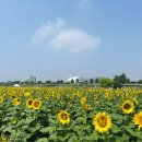 용장천 이미지