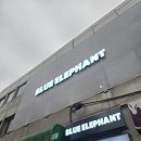 우리동네안경쇼핑안경디자인 | 성수 쇼핑 코스 추천 블루엘리펀트 플래그십 스토어 뷰맵 타이탄 성수 안경 선글라스 쇼룸 후기