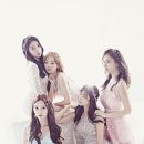 스텔라