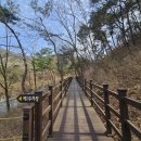 원주굽이길 원4코스 명봉산진달래길 이미지