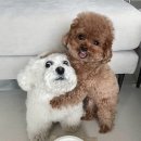 오목로4길 이미지