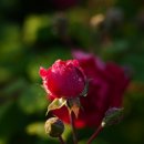 주안행정사 이미지