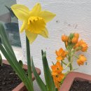 달빛이 머문 펜션 이미지