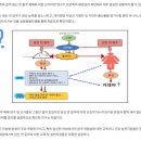 오늘자 질병관리본부: 임신 전 음주도 태아 발달 이상과 거대아 출산 위험 증가시켜....(??) 이미지