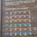 왕피천유역 생태탐방로(1코스) 네이버블로그