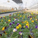 함양군농업기술센터 이미지