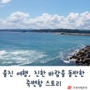 바람이 함께 동반하는 힐링스토리~ 울진 죽변항 이미지