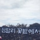 삼달교차로 1 이미지