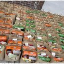 가람재가방문요양센터 | 대구등급신청 어르신도 보호자도 부담 없는 가람재가 방문요양 체험기