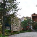 샤인벨리 이미지