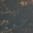 부여미소치과의원 이미지