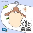 임신일기#5 [임신 30주차~36주차] 배 살트기시작/ 폭풍성장 머리큰아기 자연분만 제왕절개 고민