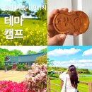 ㈜모두관광여행사 | 당일 국내여행사 패키지, 버스타고 고창 테마캠프 내돈내산 후기