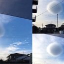 몽실몽실 솜사탕 인사이트