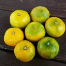 우정김밥 이미지