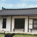 철이네 촌캉스 | 경주 애견동반 한옥숙소 철이네 촌캉스 :: 100일된 아기와 첫여행