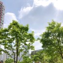 선창 농장 이미지