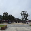 환어 | [25. 10. 02] 이산 문화제 투어 &#39;화성행궁&#39; 모바일 스탬프 미션 후기