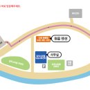 알프스애견 이미지