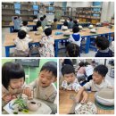 북초등학교 병설유치원 이미지