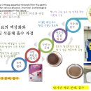 화학비료를 유기물과 액상 발효시, 더 이상 화학비료가 아니다- PPT 강의 자료 이미지