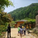 철정농장 | 생태교육과 치유를 함께 하는곳ㅡ강원도 홍천 숲속치유정원