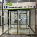 머리따움