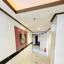 스테이하이 이미지