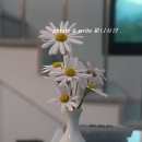 서시래연화마을 이미지