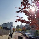 모토텍 | 일상 - 아트 라이더들, 슈퍼커브, 점심밥, 커피 등등..