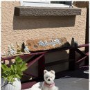 제주 하늘 바다 민박 이미지