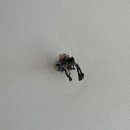 선경아파트 이미지