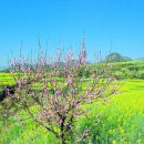 금구농장 이미지