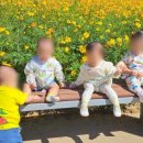 e편한아이사랑어린이집 이미지