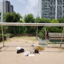 풍무초교 이미지