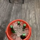 돼지영농후계자 이미지