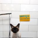 프리티펫 이미지