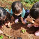 풍산초병설유치원 이미지